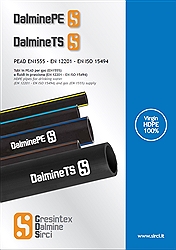 DalmineTS: PE100 blu ad Elevate Prestazioni